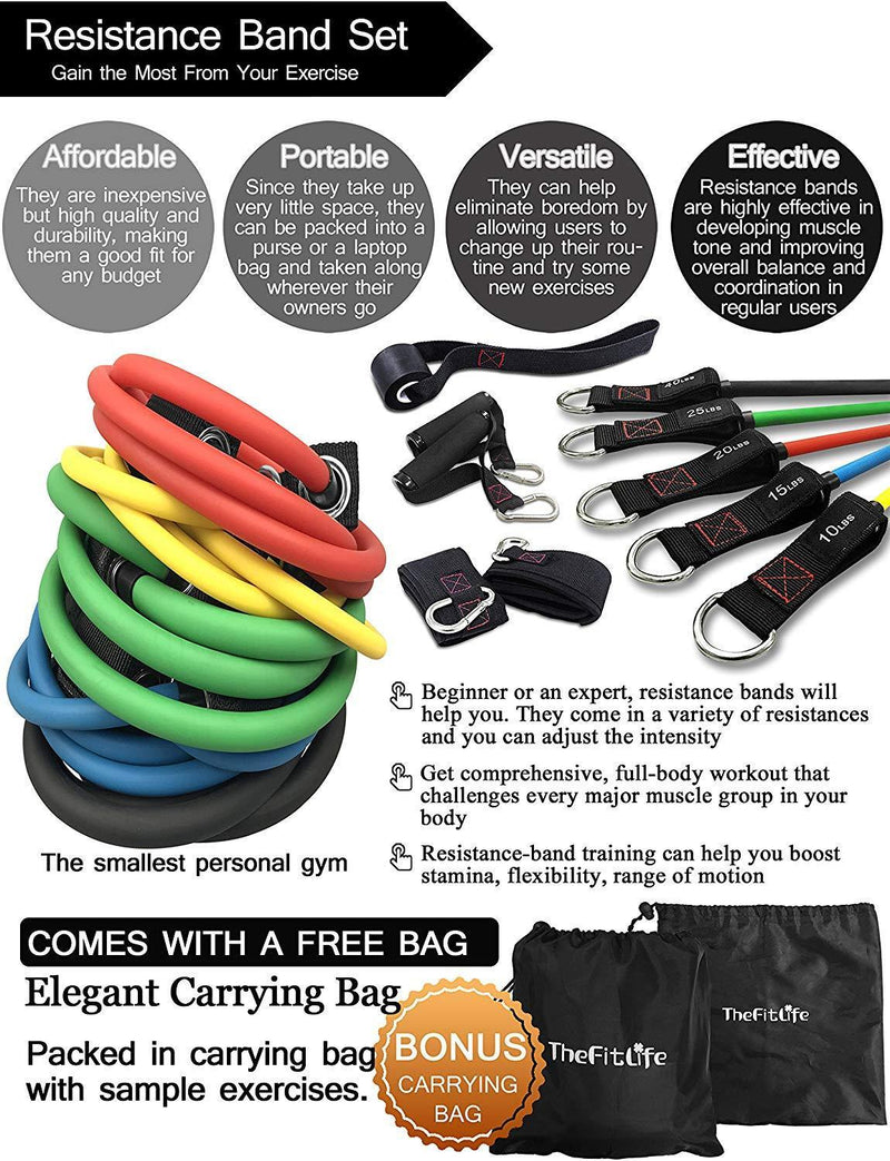 TheFitLife Exercise Resistance Bands with Handles - 5 Fitness Workout Bands Stackable up to 110 lbs, Training Tubes with Large Handles, Ankle Straps, Door Anchor Attachment, Carry Bag and Bonus eBook