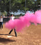 Gender Reveal Baseballs | Set of Premium Exploding Vibrant Pink and Blue Chalk | Extra-Powder Filled Baseballs | 2 Pack- 1 Pink 1 Blue for Gender Reveal Party!