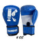 KAIWENDE Kids Boxing Gloves,Children Or Youth Punching Bag,Muay Thai,Kickboxing Training Gloves